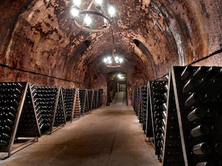 Villa Rovato Environnement 37