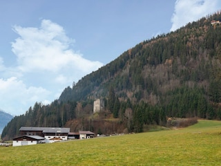 Apartment Wald im Pinzgau Umgebung 22