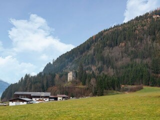 Appartement Wald im Pinzgau Environnement 23