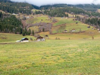 Appartement Wald im Pinzgau Environnement 26