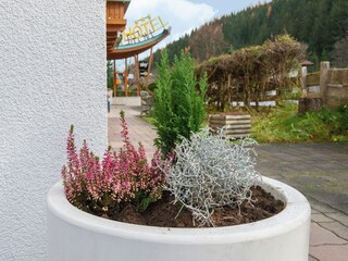 Appartement Wald im Pinzgau  29