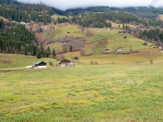 Apartment Wald im Pinzgau Outdoor Recording 9