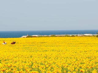 Vakantiehuis Conil de la Frontera Omgeving 18