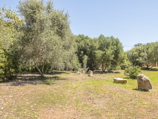 Villa Son Servera Außenaufnahme 27