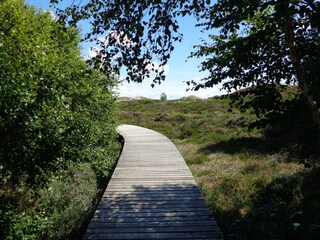 Bohlenwege durch die Heide