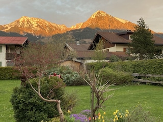 Entschenkopf und Rubihorn/ Gartenblick