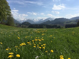 Blick Richtung Oberstdorf