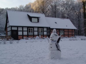 Ferienhaus Alte Stiftsschule - Berge/Niedersachsen - image1