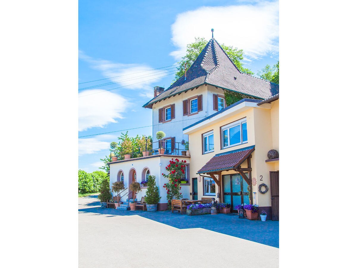 Ferienwohnung Rheinblick