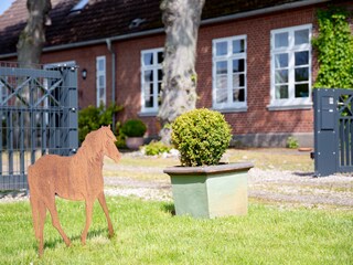 Horses are right at home