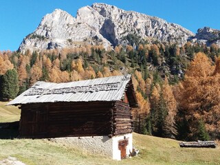 Appartamento per vacanze Wolkenstein in Gröden Ambiente 14