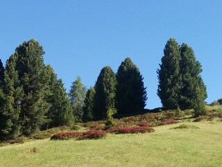 Appartamento per vacanze Wolkenstein in Gröden Ambiente 19
