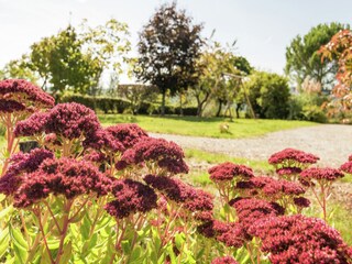 Maison de vacances Cublac  36