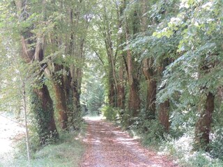 Vakantiehuis Cublac Omgeving 34