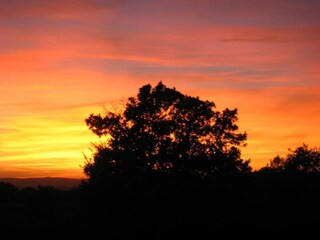 Villa Garrigues-Sainte-Eulalie Ambiente 23