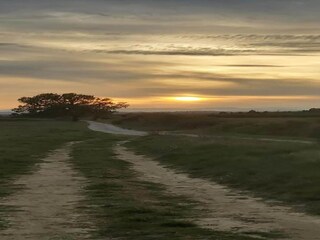 Villa Garrigues-Sainte-Eulalie Ambiente 30