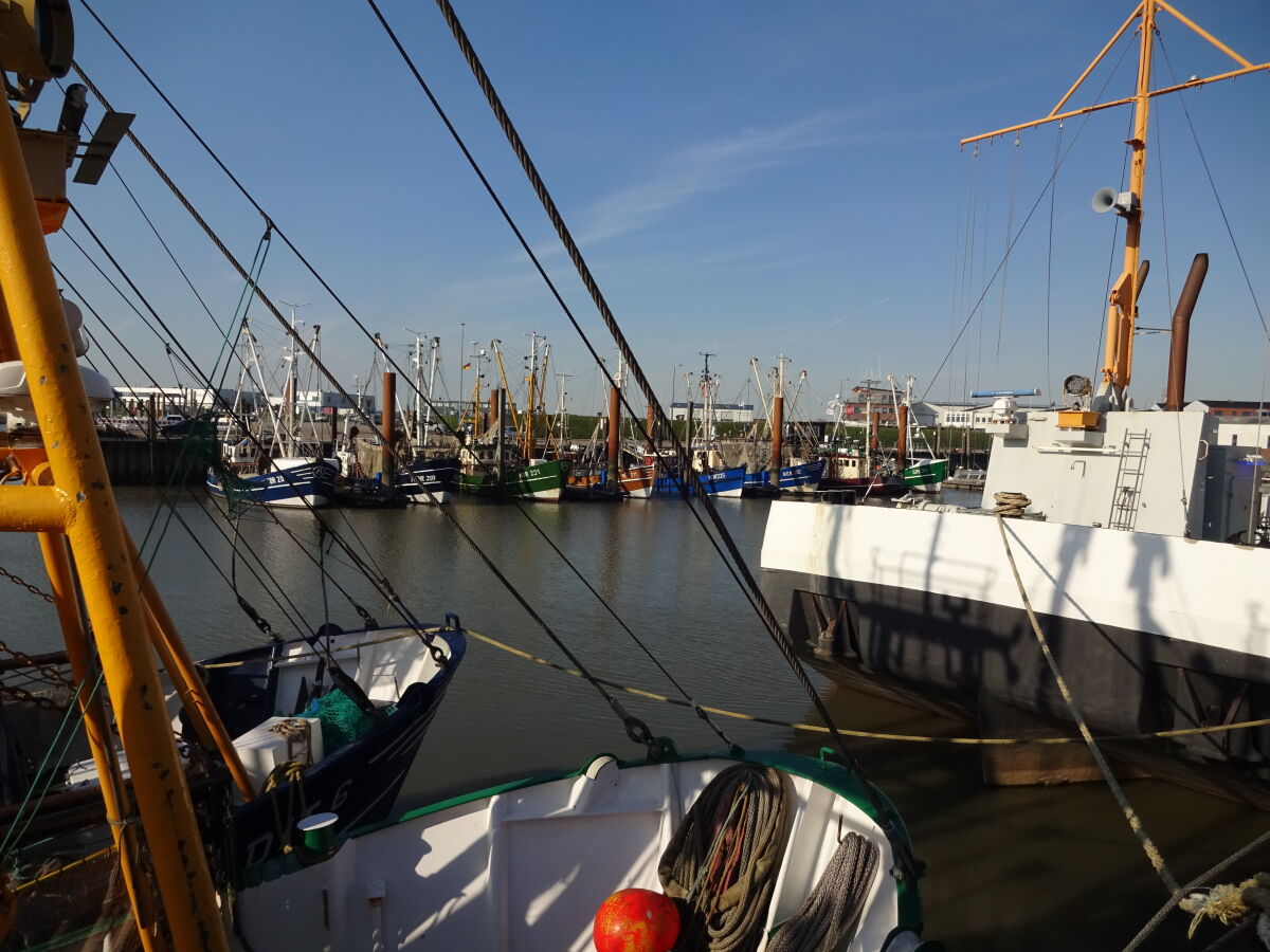 Hafen