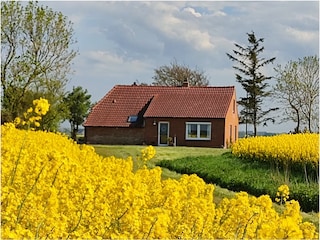 Ferienhaus Norddeich Außenaufnahme 2