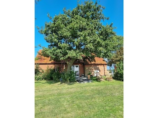 Ferienhaus Norddeich Außenaufnahme 5