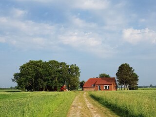 Ferienhaus Norddeich Außenaufnahme 1