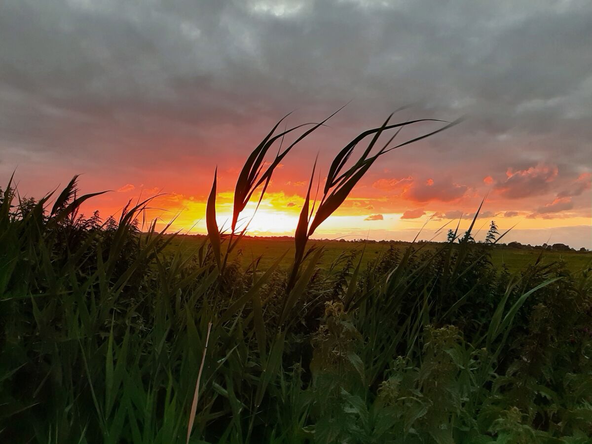 Traumhafter Sonnenuntergang