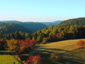 Ferienwohnung Majestätischer Ausblick
