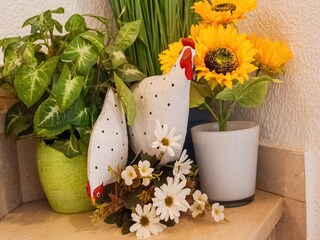 Ferienhaus Bödele  40