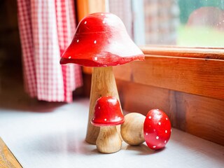 Casa per le vacanze Bödele  40
