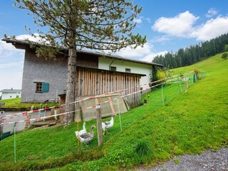 Holiday house Bödele Outdoor Recording 9