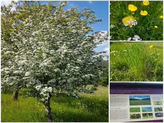 Apartamento Frankenau Entorno 14