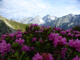 Vakantieappartement Antholz  35