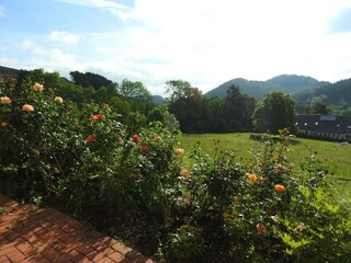 Appartamento Medebach Ambiente 36