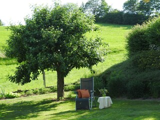 Appartement Medebach Environnement 62