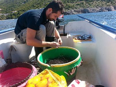 Herr Alan Tomljanovic