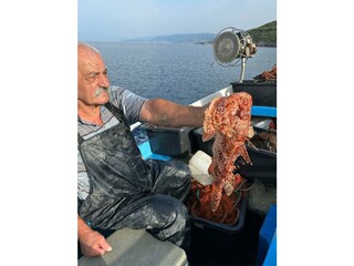 Wir beschaftigen uns auch mit Fischfang.