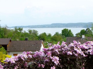 Holiday apartment Sipplingen Outdoor Recording 3