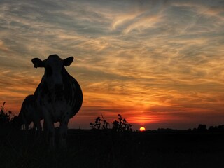 Vakantieappartement Grimersum Omgeving 20