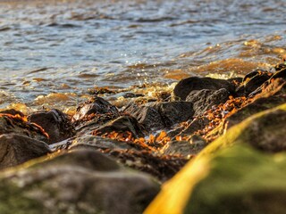 Appartement de vacances Grimersum Environnement 22