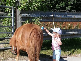 Vakantieappartement Grimersum Buitenaudio-opname 6