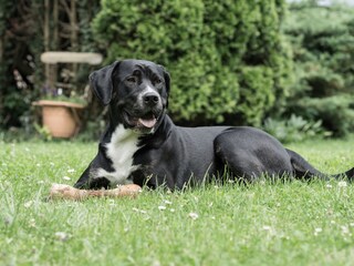 Vakantieappartement Grimersum Buitenaudio-opname 7