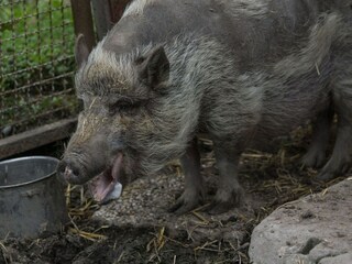 Appartement de vacances Grimersum Enregistrement extérieur 9