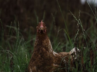 Apartamento de vacaciones Grimersum Grabación al aire libre 10