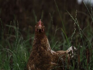 Vakantieappartement Grimersum Buitenaudio-opname 10