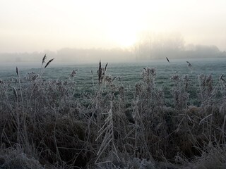 Appartement de vacances Grimersum Environnement 19