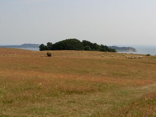 Holiday apartment Baabe  16