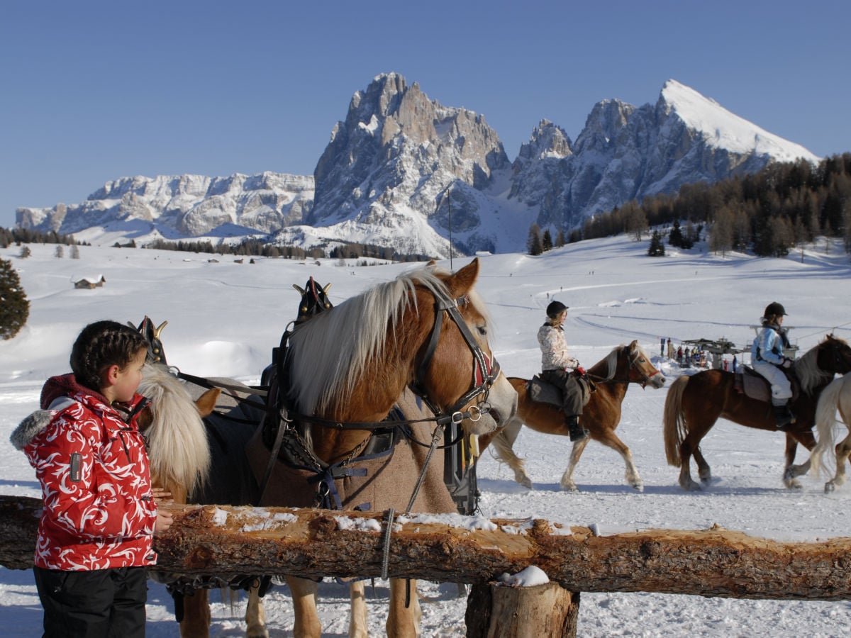 Reiten und Kutschenfahrten auf der Seiseralm