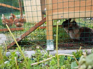 Appartamento per vacanze Kastelruth Ambiente 24