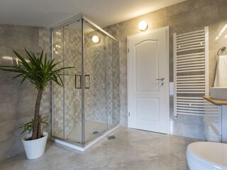 Villa Labin Caratteristiche 16