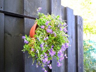 Maison de vacances Uden Enregistrement extérieur 3