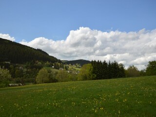 Apartment Zendscheid Outdoor Recording 4